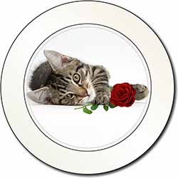 Tabby Kitten Cat with Red Rose Car or Van Permit Holder/Tax Disc Holder