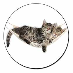 Kittens in Hammock Fridge Magnet Printed Full Colour