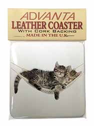 Kittens in Hammock Single Leather Photo Coaster