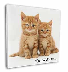 Ginger Kittens 