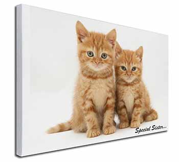 Ginger Kittens 