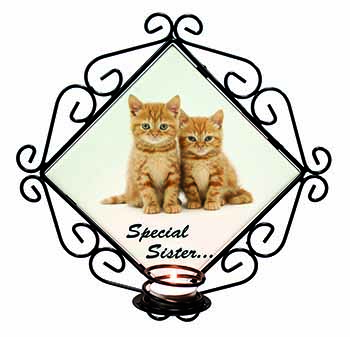 Ginger Kittens 