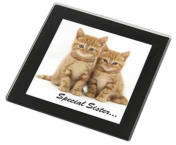 Ginger Kittens 