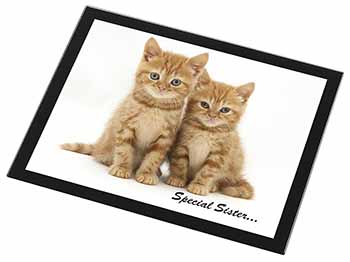 Ginger Kittens 