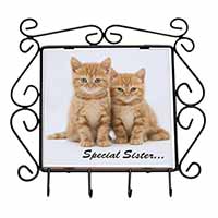 Ginger Kittens 