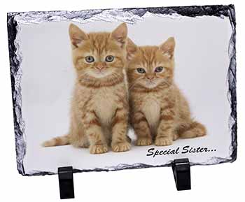 Ginger Kittens 