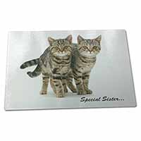 Large Glass Cutting Chopping Board Tabby Kittens 