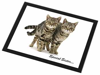 Tabby Kittens 