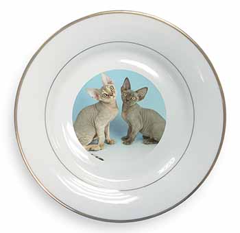 Devon Rex Cats Gold Rim Plate Printed Full Colour in Gift Box