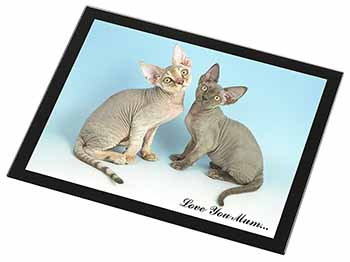 Devon Rex Cats 