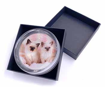 Birman Cat Kittens Glass Paperweight in Gift Box