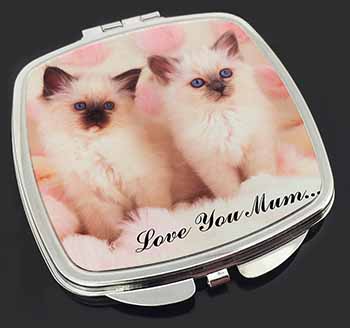 Birman Kittens Cat 