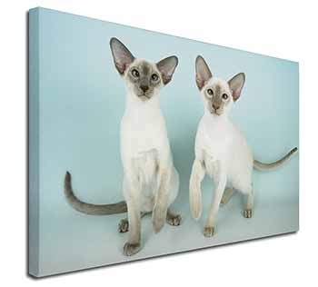 Siamese Cats Canvas X-Large 30"x20" Wall Art Print