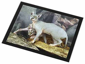 Sphynx Cat Black Rim High Quality Glass Placemat