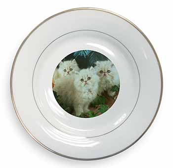 Cream Persian Kittens Gold Rim Plate Printed Full Colour in Gift Box