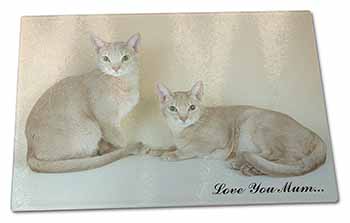 Large Glass Cutting Chopping Board Abyssynian Cats 