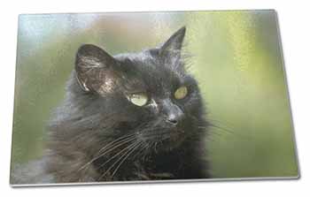 Large Glass Cutting Chopping Board Beautiful Fluffy Black Cat