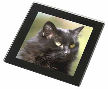 Beautiful Fluffy Black Cat Black Rim High Quality Glass Coaster