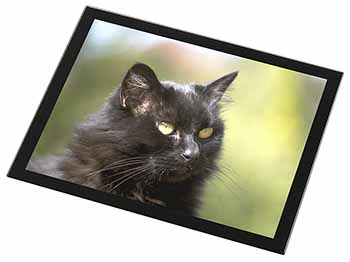 Beautiful Fluffy Black Cat Black Rim High Quality Glass Placemat