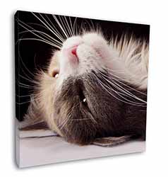 Cat in Ecstacy Square Canvas 12"x12" Wall Art Picture Print