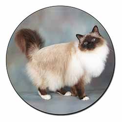 Gorgeous Birman Cat Fridge Magnet Printed Full Colour