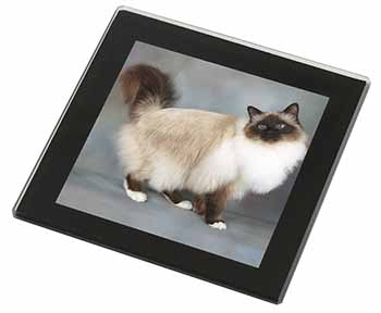 Gorgeous Birman Cat Black Rim High Quality Glass Coaster