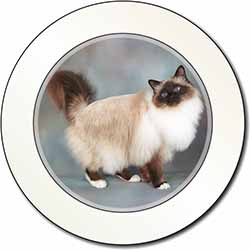 Gorgeous Birman Cat Car or Van Permit Holder/Tax Disc Holder