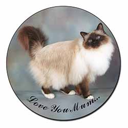 Birman Cat 