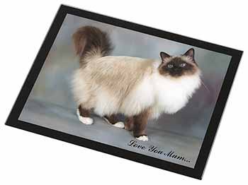 Birman Cat 