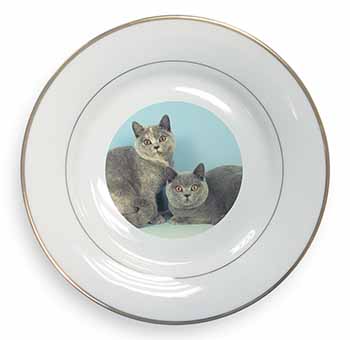 British Shorthair Cats Gold Rim Plate Printed Full Colour in Gift Box