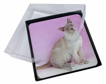 4x Lilac Burmese Cat Picture Table Coasters Set in Gift Box