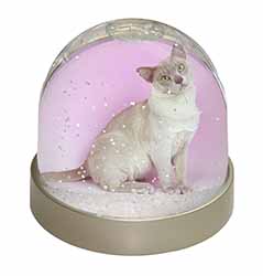 Lilac Burmese Cat Snow Globe Photo Waterball