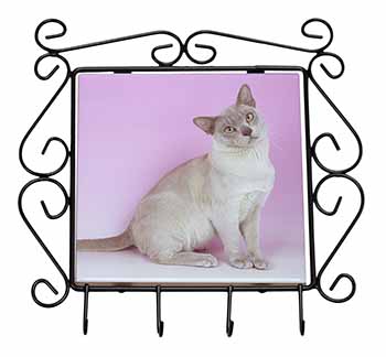 Lilac Burmese Cat Wrought Iron Key Holder Hooks