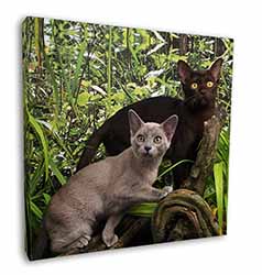 Burmese Cats Square Canvas 12"x12" Wall Art Picture Print