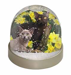 Burmese Cats Amoungst Daffodils Snow Globe Photo Waterball