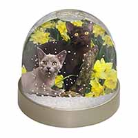 Burmese Cats Amoungst Daffodils Snow Globe Photo Waterball