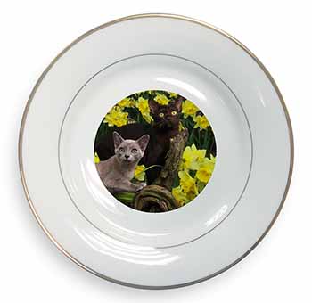 Burmese Cats Amoungst Daffodils Gold Rim Plate Printed Full Colour in Gift Box