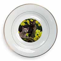 Burmese Cats Amoungst Daffodils Gold Rim Plate Printed Full Colour in Gift Box