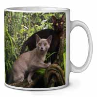 Burmese Cats Ceramic Coffee Mug/Tea Cup