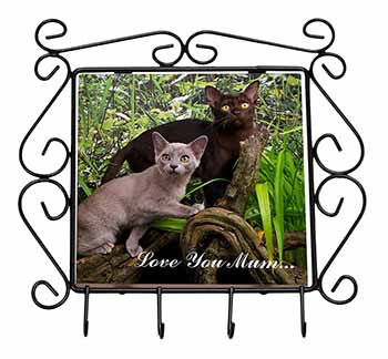 Burmese Cats 