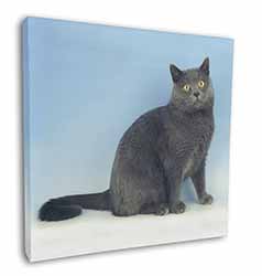 Blue Chartreax Cat Square Canvas 12"x12" Wall Art Picture Print