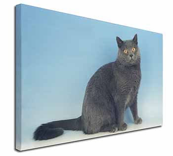 Blue Chartreax Cat Canvas X-Large 30"x20" Wall Art Print