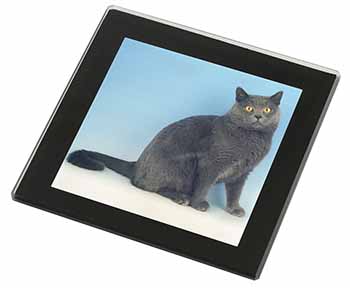 Blue Chartreax Cat Black Rim High Quality Glass Coaster