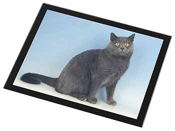 Blue Chartreax Cat Black Rim High Quality Glass Placemat