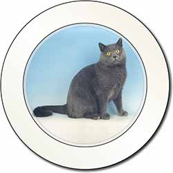 Blue Chartreax Cat Car or Van Permit Holder/Tax Disc Holder