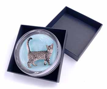 Egyptian Mau Cat Glass Paperweight in Gift Box