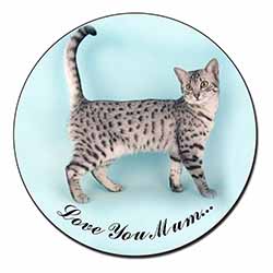 Egyptian Mau Cat 