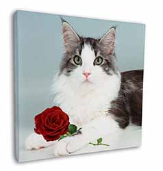 Gorgeous Cat with Red Rose Square Canvas 12"x12" Wall Art Picture Print