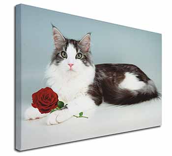 Gorgeous Cat with Red Rose Canvas X-Large 30"x20" Wall Art Print