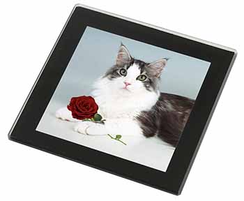 Gorgeous Cat with Red Rose Black Rim High Quality Glass Coaster